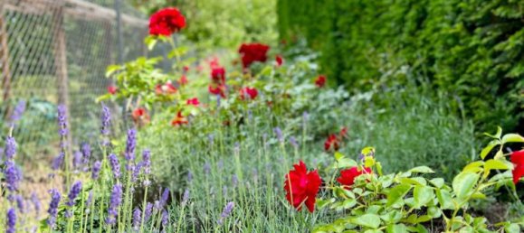 6 Schlafzimmer Villa in Dresden, Germany, Nr. 63061 12