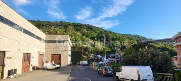 5غرفة مستودع في Genoa, Italy رقم 35793 23