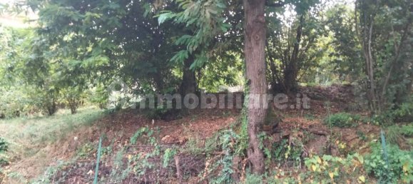 4 bedrooms Villa in Olevano sul Tusciano, Italy No. 292805 13