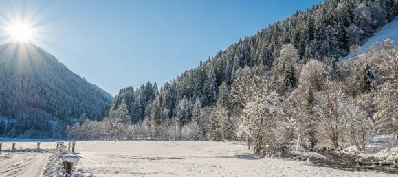 3 غرف نوم منزل في Kirchberg in Tirol, Austria رقم 49187 12