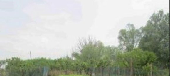 3 rooms House in Casatisma, Italy No. 158174 15