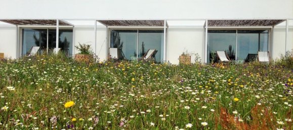 18 bedrooms Hotel in Sao Teotonio, Portugal No. 56458 48