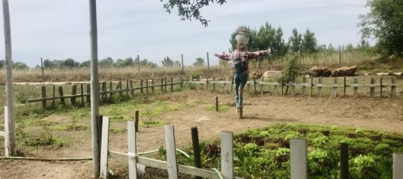 18 bedrooms Hotel in Sao Teotonio, Portugal No. 56458 35