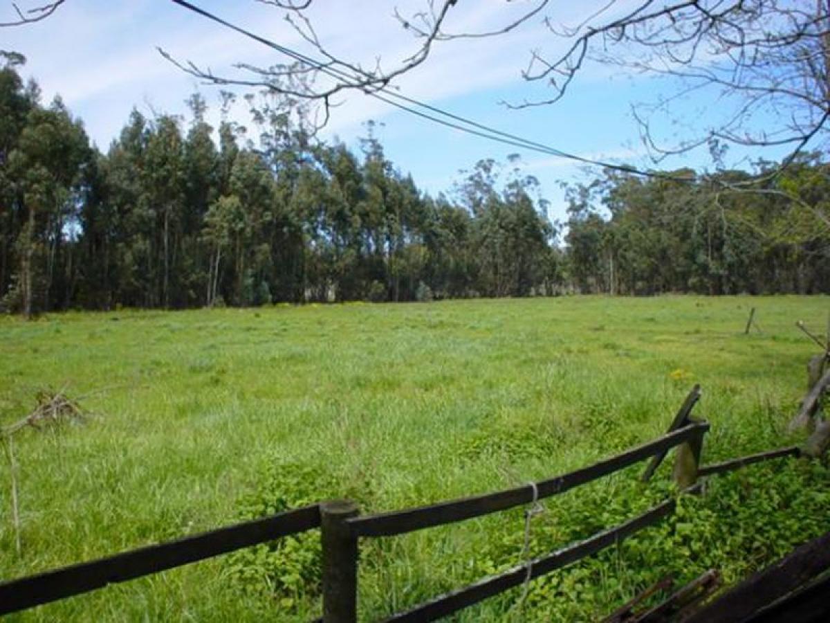  Land in Canuelas, Argentina No. 48527