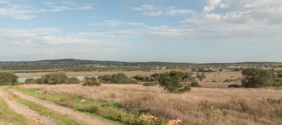 6 bedrooms House in Alcacovas, Portugal No. 124303 33