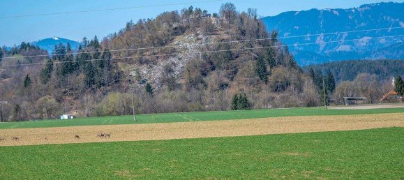 6-Zimmer Haus in Velden am Wörther See, Austria, Nr. 216034 26