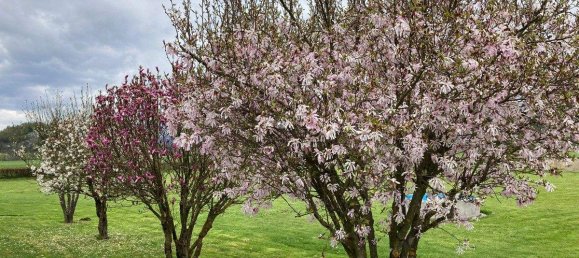 6-Zimmer Haus in Velden am Wörther See, Austria, Nr. 216034 29