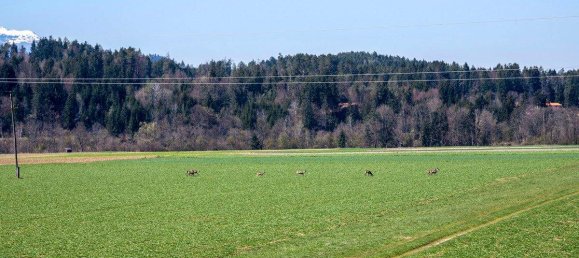 6-Zimmer Haus in Velden am Wörther See, Austria, Nr. 216034 25