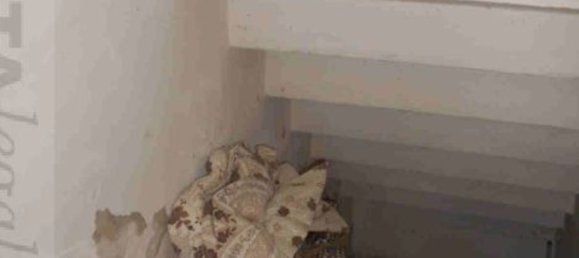 6-Zimmer Wohnung in Villa Bartolomea, Italy, Nr. 195001 5