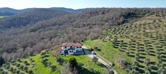 10 rooms House in Sinalunga, Italy No. 236119 7