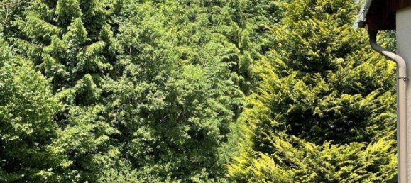 Dúplex de 2 habitaciónes en Liezen, Austria No. 144269 5