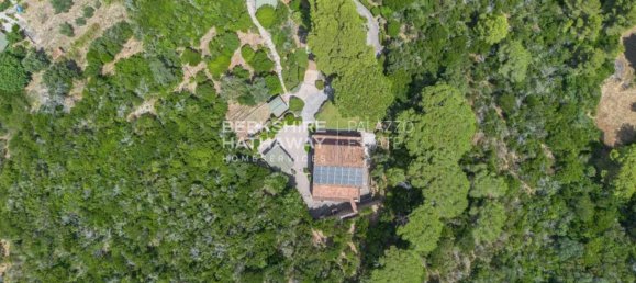 Villa T4 em Campo nell'Elba, Italy N.º 307940 10