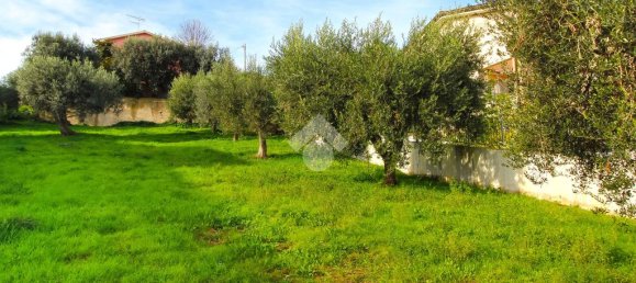 1-salle Terrain à Tortoreto, Italy No. 112023 4