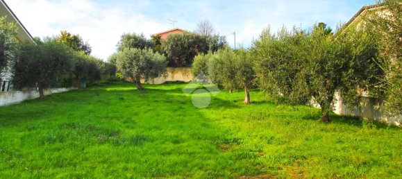 1-salle Terrain à Tortoreto, Italy No. 112023 7