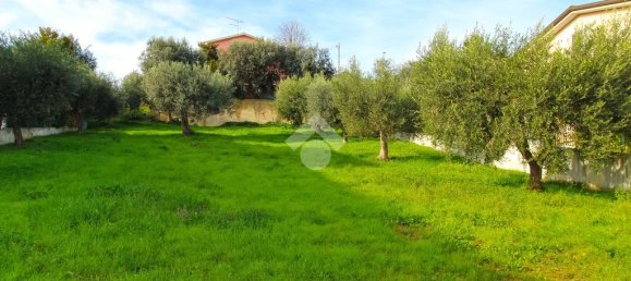 1-salle Terrain à Tortoreto, Italy No. 112023 3