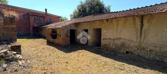 5-Zimmer Haus in Narni, Italy, Nr. 303829 15