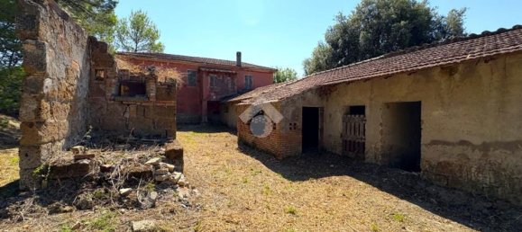 5-Zimmer Haus in Narni, Italy, Nr. 303829 19