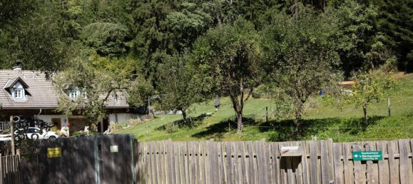 4-Zimmer Haus in Birkfeld, Austria, Nr. 244215 28