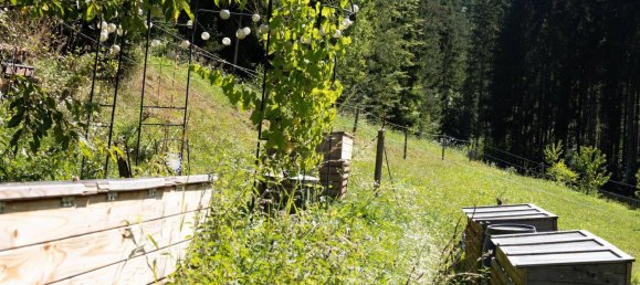 4-Zimmer Haus in Birkfeld, Austria, Nr. 244215 26