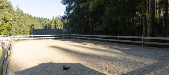 4-Zimmer Haus in Birkfeld, Austria, Nr. 244215 29