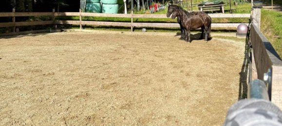 4-Zimmer Haus in Birkfeld, Austria, Nr. 244215 25