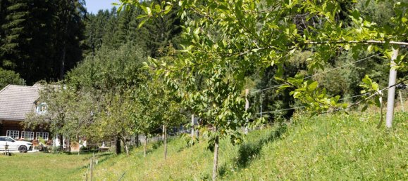 4-Zimmer Haus in Birkfeld, Austria, Nr. 244215 27