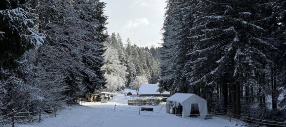 4-Zimmer Haus in Birkfeld, Austria, Nr. 244215 31