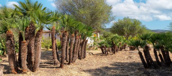 6 bedrooms Villa in Alghero, Italy No. 377967 8