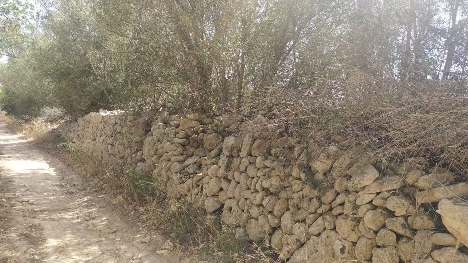  Land in Algaida, Spain No. 232221