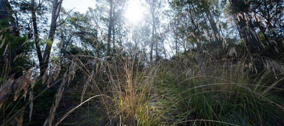 3 bedrooms House in Sineu, Spain No. 185915 34