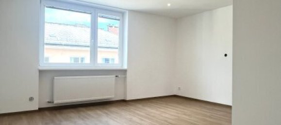 5 rooms Apartment in Salzburg, Austria No. 193106 14