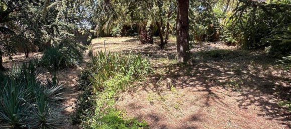 Villa de 10 habitaciónes en Pedara, Italy No. 270331 3