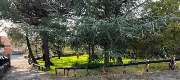 Villa de 10 habitaciónes en Pedara, Italy No. 270331 4