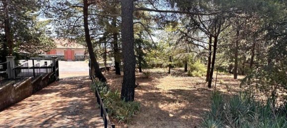 Villa de 10 habitaciónes en Pedara, Italy No. 270331 2