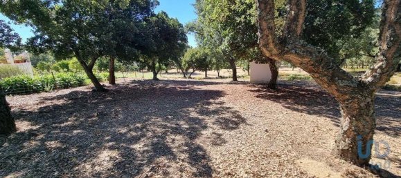 5 Schlafzimmer Haus in Portalegre, Portugal, Nr. 120366 7