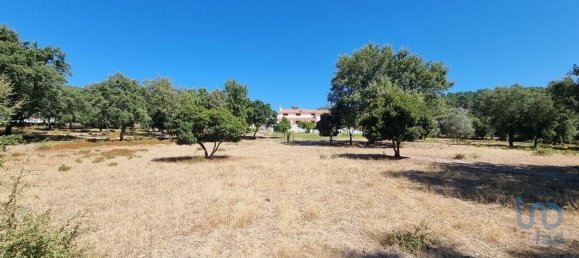 5 Schlafzimmer Haus in Portalegre, Portugal, Nr. 120366 16