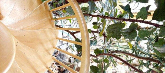 6-Zimmer Haus in St. Pölten, Austria, Nr. 259066 15