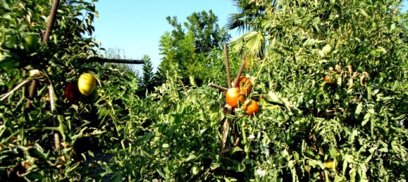 Вилла с 6 спальнями в Коин, Испания № 31232 38