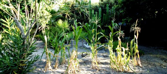 Вилла с 6 спальнями в Коин, Испания № 31232 33