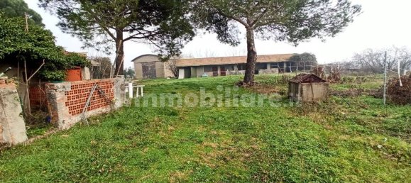 4 غرف نوم منزل في Castiglione del Lago, Italy رقم 178052 6