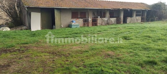 4 غرف نوم منزل في Castiglione del Lago, Italy رقم 178052 7