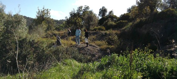  Land in Son Servera, Spain No. 165740 7