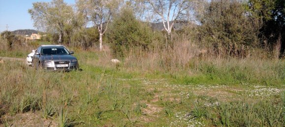  Land in Son Servera, Spain No. 165740 6