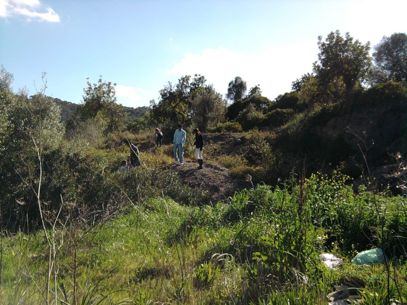  Land in Son Servera, Spain No. 165740