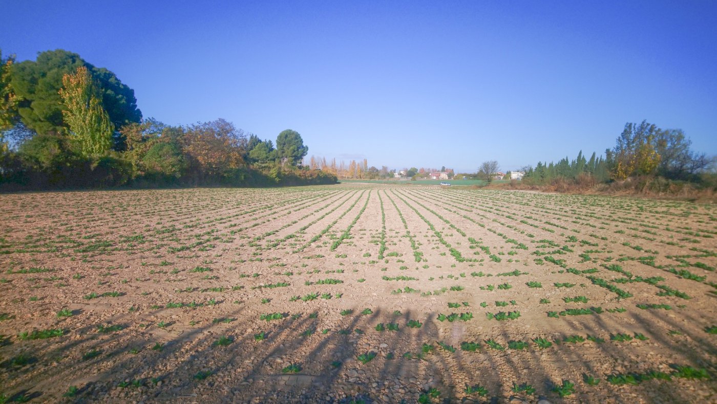  Land in Zaragoza, Spain No. 62019