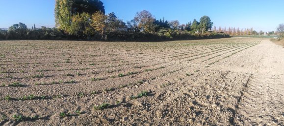  Land in Zaragoza, Spain No. 62019 2