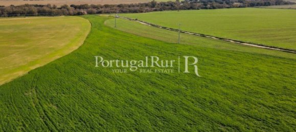 11 غرف نوم قطعة أرض في Campo Maior, Portugal رقم 128446 50