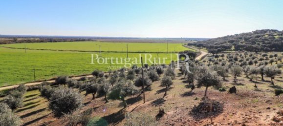 11 غرف نوم قطعة أرض في Campo Maior, Portugal رقم 128446 41