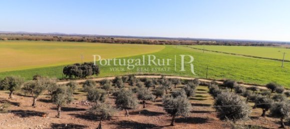 11 غرف نوم قطعة أرض في Campo Maior, Portugal رقم 128446 42