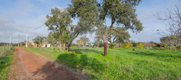 1 bedroom House in Colos, Portugal No. 39487 10